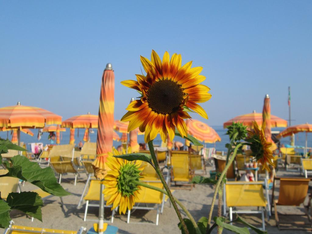 Residence Mare Verde Pietra Ligure Exterior photo
